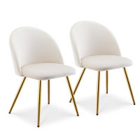 Mercer41 Velvet Dining Chairs Set Of 2, Comfy Upholstered Seat  With Golden Metal Legs