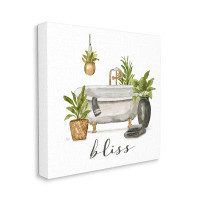 Stupell Industries Bliss Various Potted Plants Canvas Wall Art By Nan