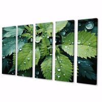 Design Art Ferns Plant Gossamer Veil I - Floral Canvas Wall Art - 5 Equal Panels