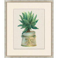 Wendover Art Group Aloe Pot 3