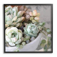 Stupell Industries Stupell Industries Succulent Plant Arrangement Framed Giclee Art Design By Amy Hall