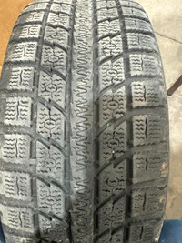 Four 205/55R16 Toyo Observe Winter Tires on Steel Rims