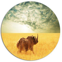 Made in Canada - Design Art 'Rhino in Grassland under Cloudy Sky' Photographic Print on Metal