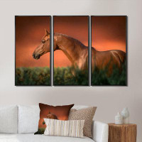 Latitude Run® Portrait Of The Chestnut Thoroughbred Horse I - Traditional Framed Canvas Wall Art Set Of 3