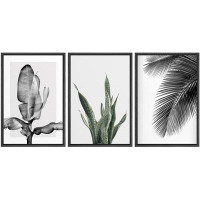 IDEA4WALL IDEA4WALL Framed Canvas Print Wall Art Trio Of Jungle Palms & Snake Succulents Floral Plants Photography Moder