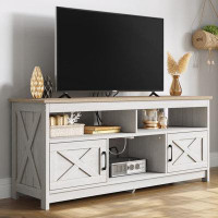 Laurel Foundry Modern Farmhouse Stellan 59" Rectangular Farm House TV Stand with 2 Cabinets for TVs up to 65" For Living