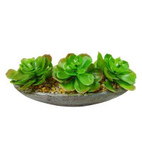 Wrought Studio Artificial Succulent Jade Plant