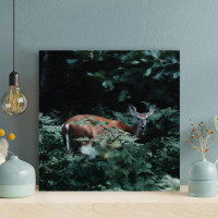Millwood Pines Brown Deer Near Green Plants - 1 Piece Square Graphic Art Print On Wrapped Canvas
