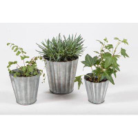 Ophelia & Co. Clintwood 3-Piece Tin Pot Planter Set