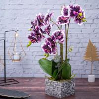 Primrue Fake Orchid Plant, Velvet Touch, With Brick Wall Like Planter, Indoor Fake Plant