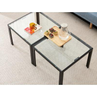 Lipoton Coffee Table Set of 2, Square Modern Table with Tempered Glass Finish for Living Room