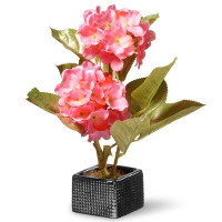 Ebern Designs Hydrangea Flowers in Pot