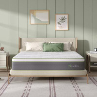 Alwyn Home Alwyn Home Pettibone 12'' Medium Sofa Bed Mattress