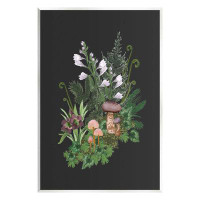 Stupell Industries Forest Plants Blooming Mushrooms Giclee Art By House Of Rose