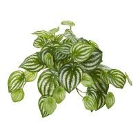 Charlton Home 11" Artificial Ivy Plant
