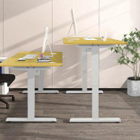Hokku Designs TDC 48-Inch Electric Standing Adjustable Desk with Control Panel and USB Port