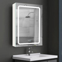 Wrought Studio 30X20 Inch LED Bathroom Medicine Cabinet Surface Mounted Cabinets With Lighted Mirror  White Right Open