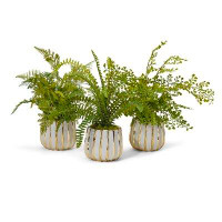 T&C Floral Company 3 - Piece Artificial Fern Plant in Vase Set