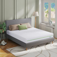 Alwyn Home Alwyn Home McCoole 8'' Medium Gel Memory Foam Sofa Bed Mattress