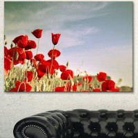 Design Art Flourishing Red Poppies - Wrapped Canvas Photograph Print