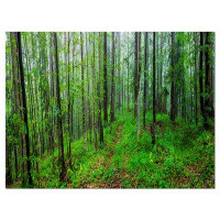 Design Art Green Wild Forest with Dense Trees Photographic Print on Wrapped Canvas
