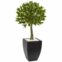 Charlton Home 42in. Bay Leaf Topiary with Black Wash Planter UV Resistant (Indoor/Outdoor)