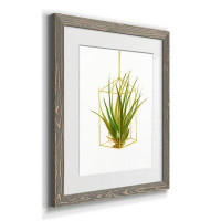 Mercer41 Hanging Airplant II - Picture Frame Painting Print on Paper