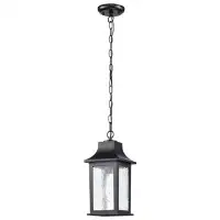 Winston Porter Jaylah Outdoor Hanging Lantern - 1 Light - Matte Black Finish - Water Glass