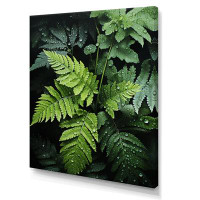 Gracie Oaks Domenique Ferns Plant Monochrome Symphony III On Canvas Print
