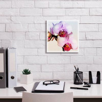 Latitude Run® Latitude Run® 'Pink Orchid Close Up 02' By Tom Quartermaine, Acrylic Glass Wall Art
