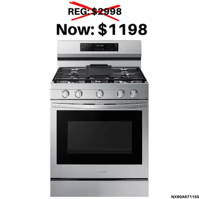 Stainless Steel Range on Discount! NX60A6711SS
