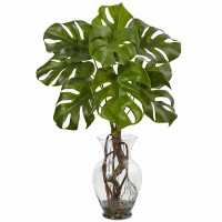 Primrue Desktop Foliage Plant in Decorative Vase