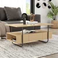 Ebern Designs Kamaiyah Sled Coffee Table with Storage