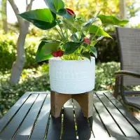 World Menagerie Beartree Ceramic Pot Planter