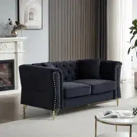 House of Hampton 2 Seater Velvet Tufted Couch
