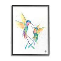 Stupell Industries Rainbow Birds Flying Duo Grey Framed Giclee Art By Marc Allante