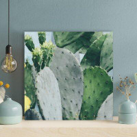 Foundry Select Green Cactus Plant During Daytime 9 - 1 Piece Square Graphic Art Print On Wrapped Canvas