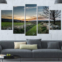 Made in Canada - Design Art 'Rocky Fences in Green Grassland' 5 Piece Photographic Print on Wrapped Canvas Set
