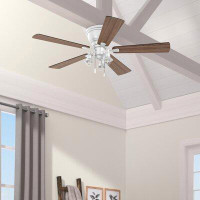 Breakwater Bay 52" Monroeville 5 - Blade Flush Mount Ceiling Fan with Pull Chain and Light Kit Included