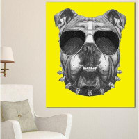 Made in Canada - Design Art 'Funny English Bulldog with Collar' Graphic Art on Wrapped Canvas