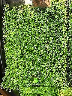 Low Maintenance Artificial Grass / Turf Available! Call 403-250-1110! in Plants, Fertilizer & Soil - Image 3