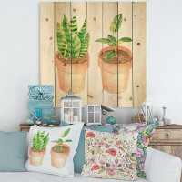 East Urban Home Sansevieria & Ficus Indoor Green Home House Plants - Traditional Print On Natural Pine Wood