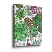 Dakota Fields Fresh Green And Purple Succulent Ornamental Plants Garden Wall IV Gallery Wrapped