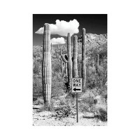 East Urban Home Black Arizona Series - Cactus One Way