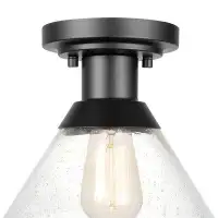 Breakwater Bay Throncliffe 1-Light Matte Black Outdoor Flush Mount With Clear Seeded Glass Shade, Bulb Included