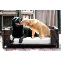 Archie & Oscar™ Cristobal Rattan Rectangular Dog Sofa