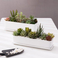 Ebern Designs 2 Piece Ceramic Pot Planter Set
