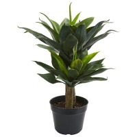 Bay Isle Home™ Artificial Double Agave Succulent in Pot