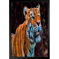 Latitude Run® Tiger Talking By Chris Lord Photo Tiger Art Print Tiger Pictures Wall Decor Tiger Stripe Print Jungle Anim