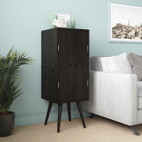 Hashtag Home Kelley Solid Wood 2 - Door Accent Cabinet